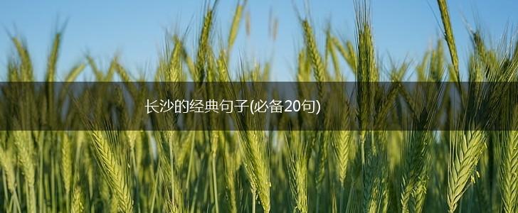 长沙的经典句子(必备20句),第1张