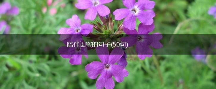陪伴闺蜜的句子(50句),第1张