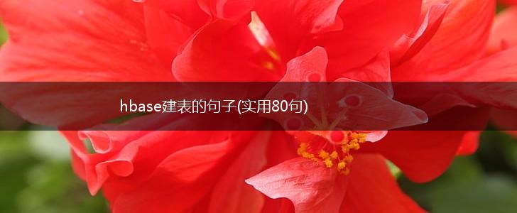 hbase建表的句子(实用80句),第1张