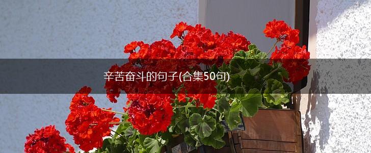 辛苦奋斗的句子(合集50句),第1张