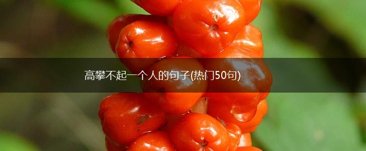 高攀不起一个人的句子(热门50句),第1张