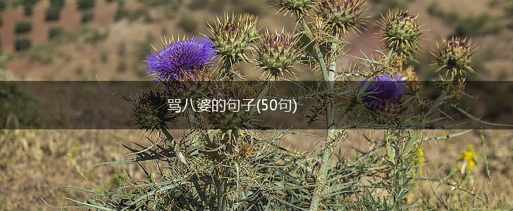 骂八婆的句子(50句),第1张