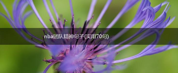 nba团队精神句子(实用70句),第1张