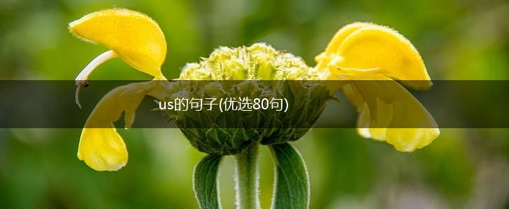 us的句子(优选80句),第1张