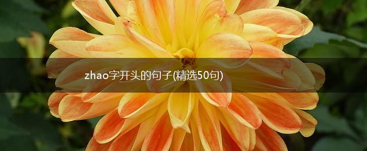 zhao字开头的句子(精选50句),第1张