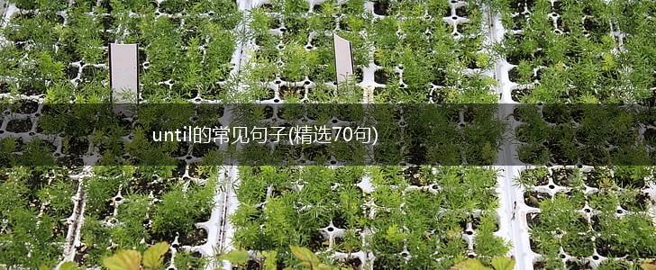 until的常见句子(精选70句),第1张