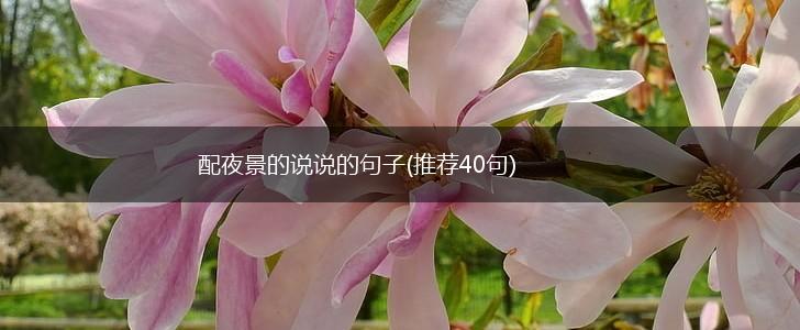 配夜景的说说的句子(推荐40句),第1张
