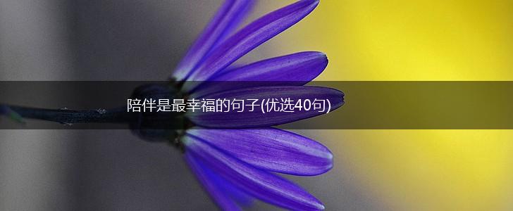 陪伴是最幸福的句子(优选40句),第1张