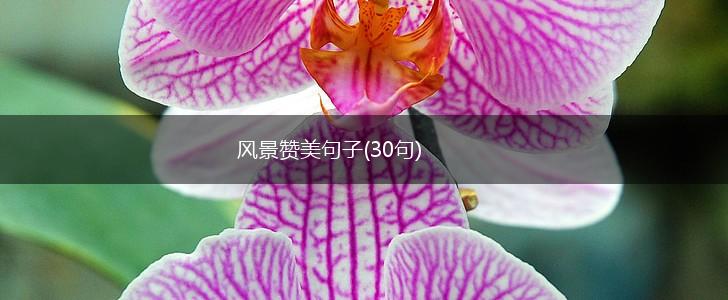 风景赞美句子(30句),第1张