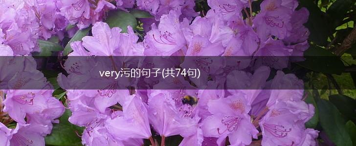 very污的句子(共74句),第1张