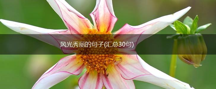 风光秀丽的句子(汇总30句),第1张