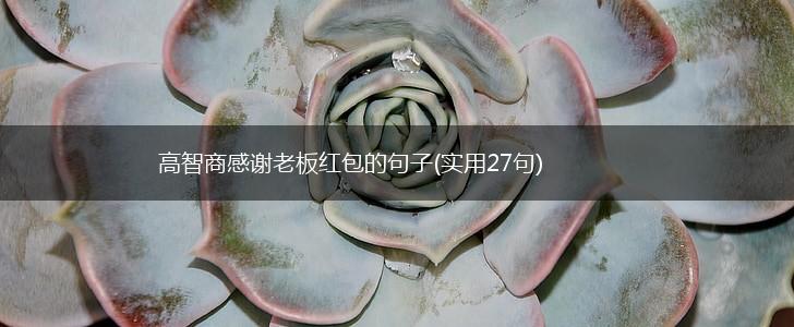 高智商感谢老板红包的句子(实用27句),第1张