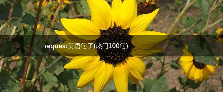 request英语句子(热门100句),第1张