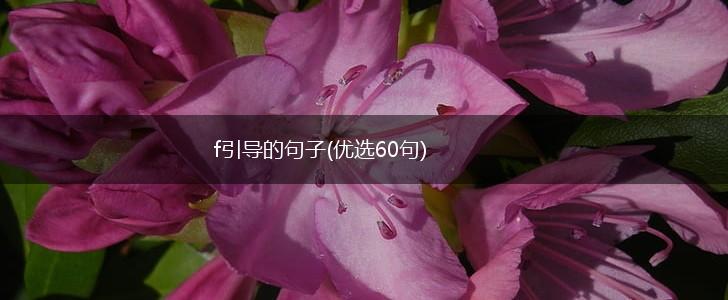 f引导的句子(优选60句),第1张