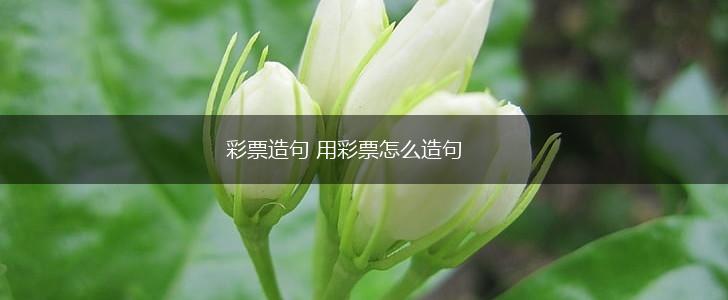 彩票造句 用彩票怎么造句,第1张