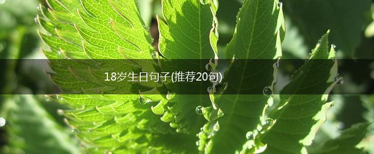 18岁生日句子(推荐20句),第1张