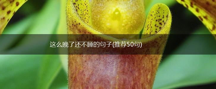 这么晚了还不睡的句子(推荐50句),第1张