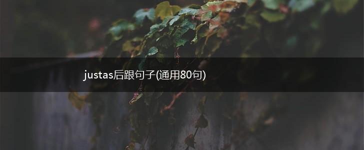 justas后跟句子(通用80句),第1张