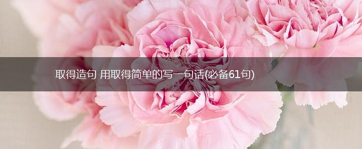 取得造句 用取得简单的写一句话(必备61句),第1张