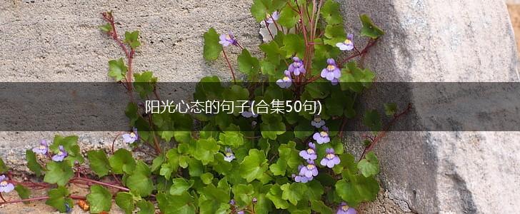 阳光心态的句子(合集50句),第1张