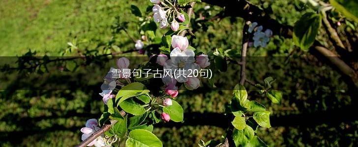 雪景句子古风(共20句),第1张