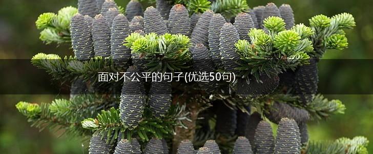 面对不公平的句子(优选50句),第1张