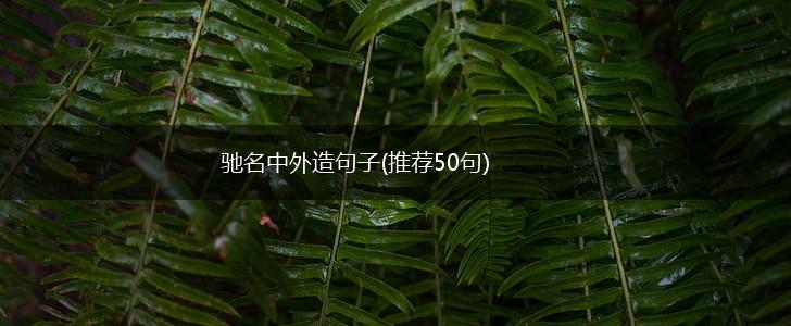驰名中外造句子(推荐50句),第1张