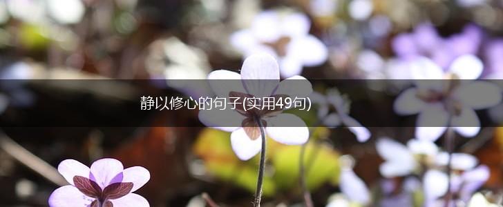 静以修心的句子(实用49句),第1张