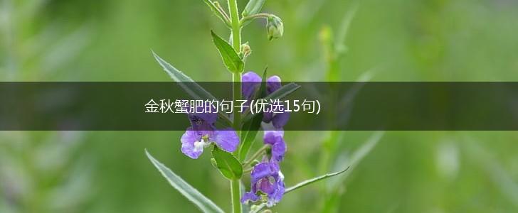 金秋蟹肥的句子(优选15句),第1张