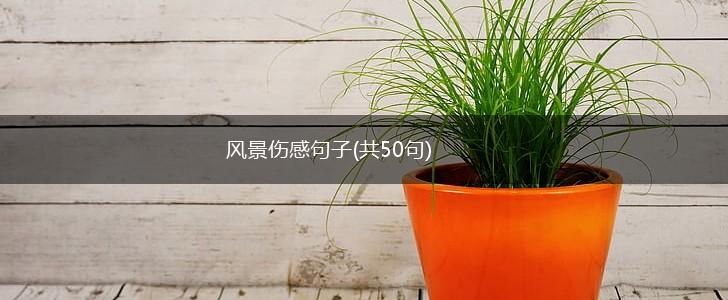风景伤感句子(共50句),第1张