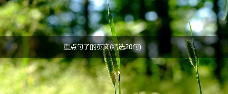 重点句子的英文(精选20句),第1张