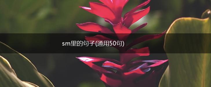 sm里的句子(通用50句),第1张