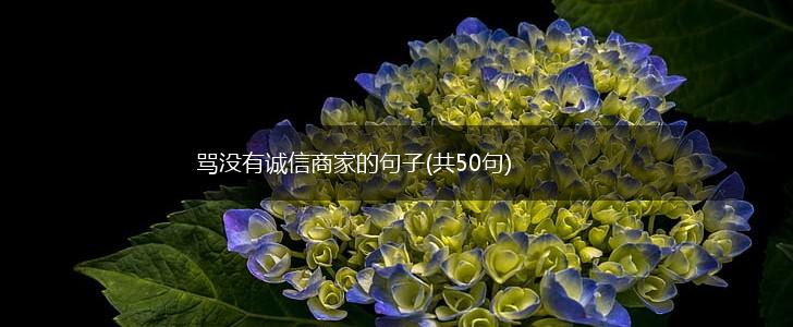 骂没有诚信商家的句子(共50句),第1张