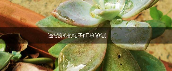 违背良心的句子(汇总50句),第1张