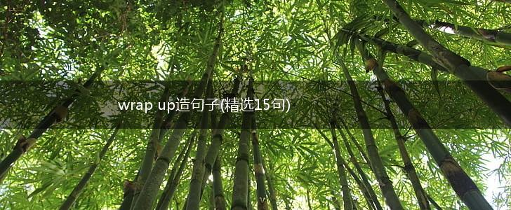 wrap up造句子(精选15句),第1张