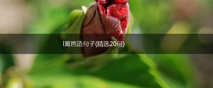 l篱笆造句子(精选20句),第1张
