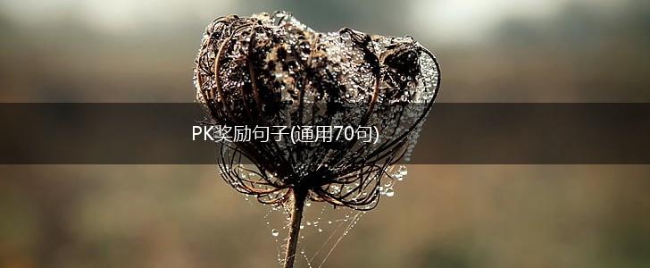 PK奖励句子(通用70句),第1张