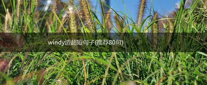windy造超短句子(推荐80句),第1张