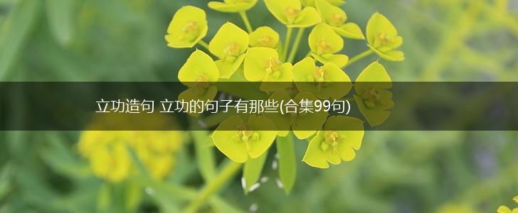 立功造句 立功的句子有那些(合集99句),第1张