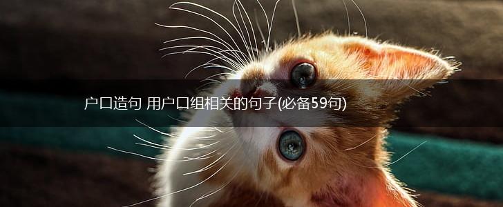 户口造句 用户口组相关的句子(必备59句),第1张