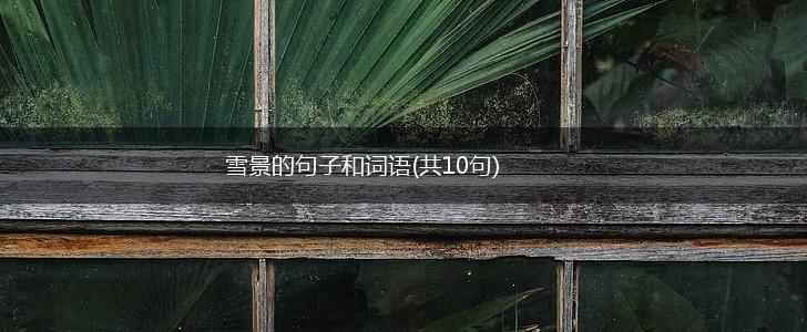 雪景的句子和词语(共10句),第1张
