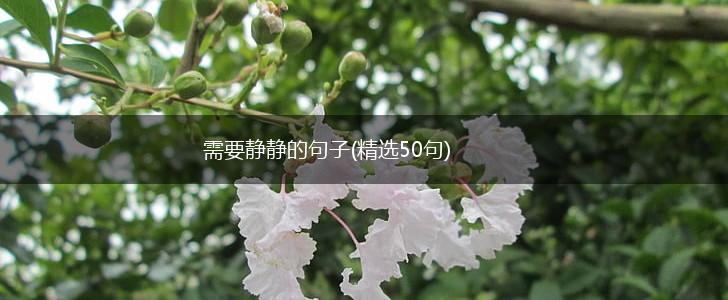 需要静静的句子(精选50句),第1张