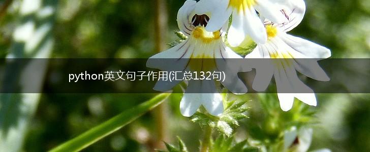 python英文句子作用(汇总132句),第1张