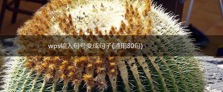 wps输入句号变成句子(通用80句),第1张