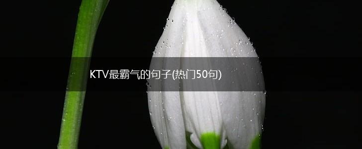 KTV最霸气的句子(热门50句),第1张