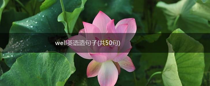 well英语造句子(共50句),第1张