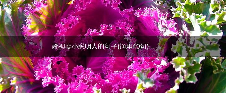 鄙视耍小聪明人的句子(通用40句),第1张