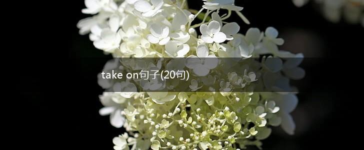 take on句子(20句),第1张