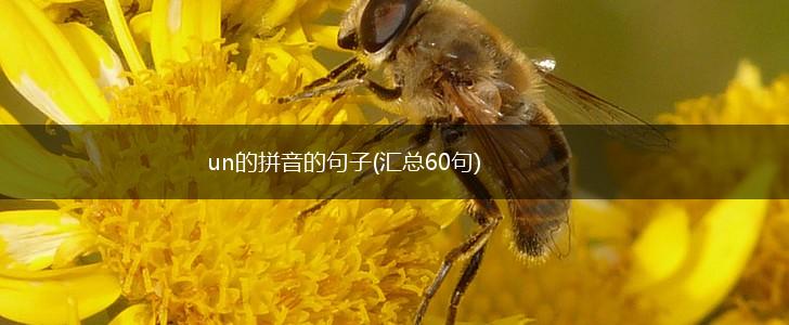 un的拼音的句子(汇总60句),第1张