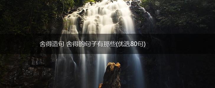 舍得造句 舍得的句子有那些(优选80句),第1张
